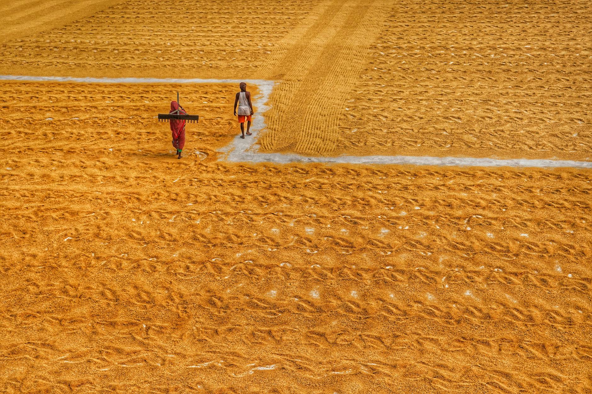 Illustration zu Britische Königsfamilie