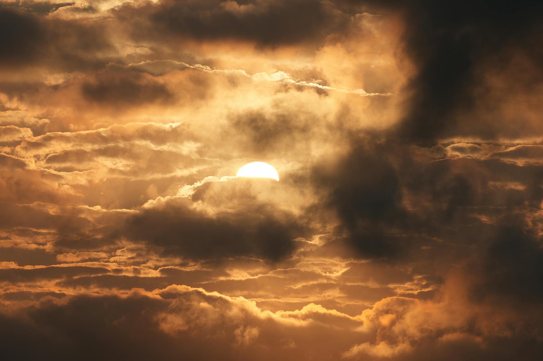 Detailansicht: Carsten Maschmeyer Sun Matters