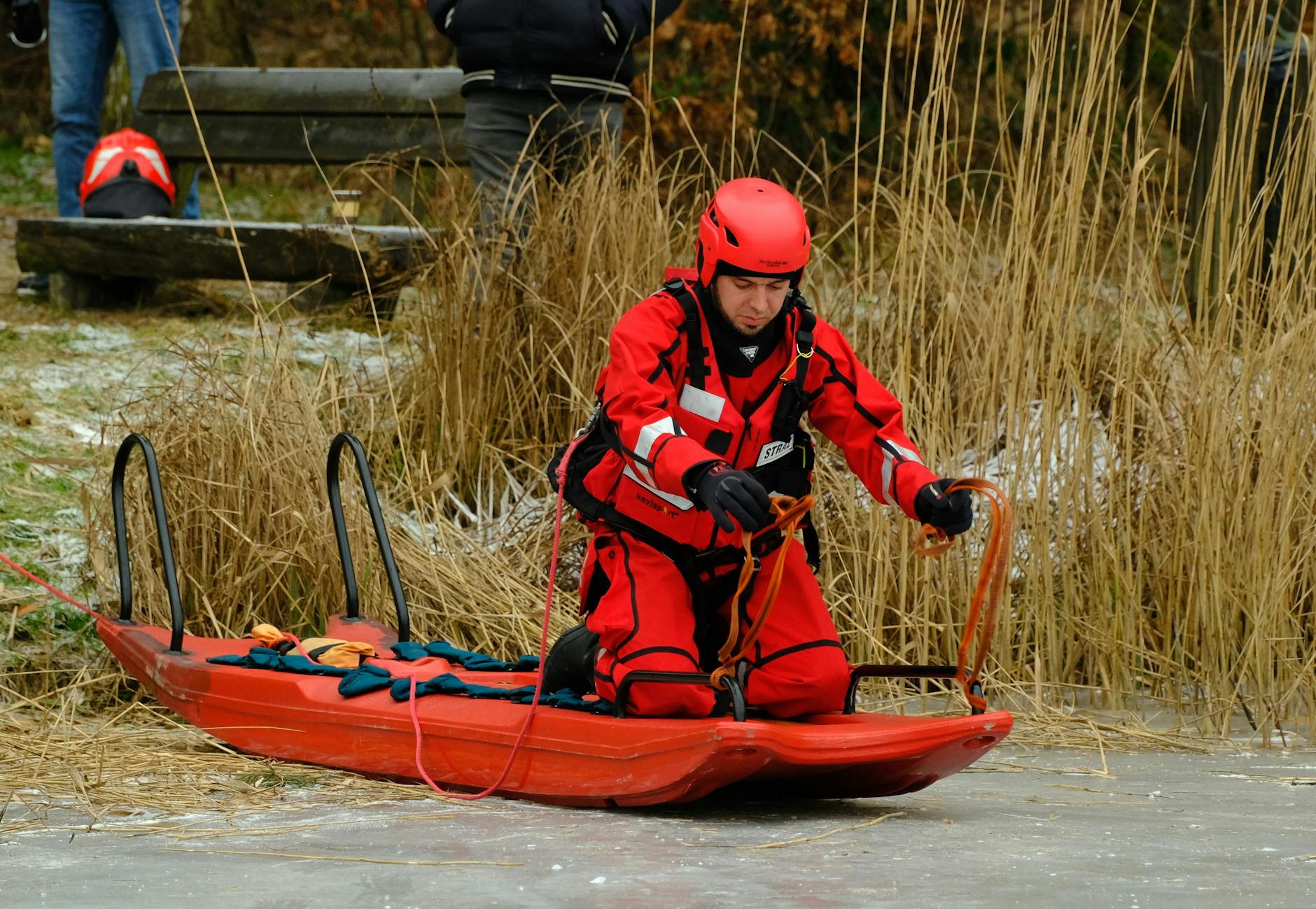 Symbolbild zum Thema Eisheilige 2026