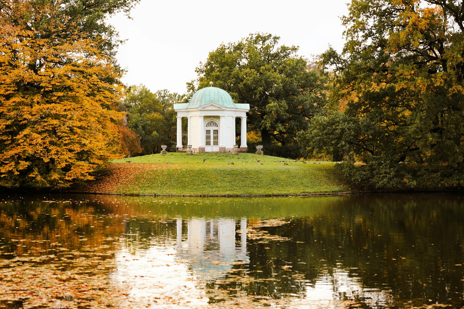 Illustration zu Erzgebirge Aue – Hoffenheim Ii