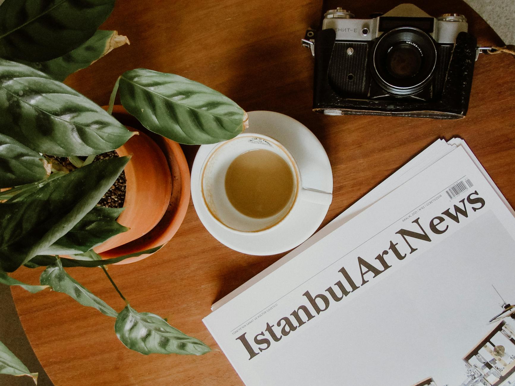 Illustration zu Esmir Bajraktarević