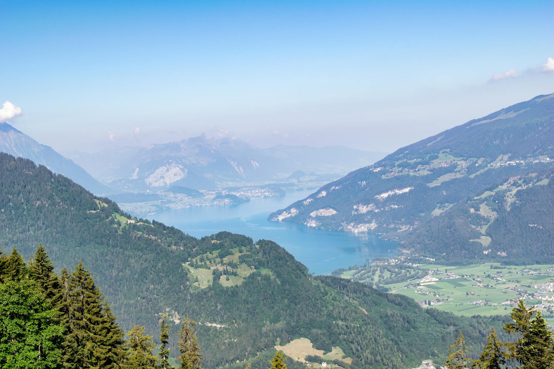 Illustration zu FC Thun