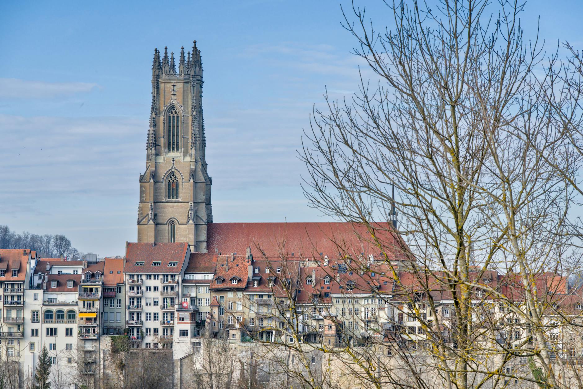 Symbolbild zum Thema Fribourg Gotteron
