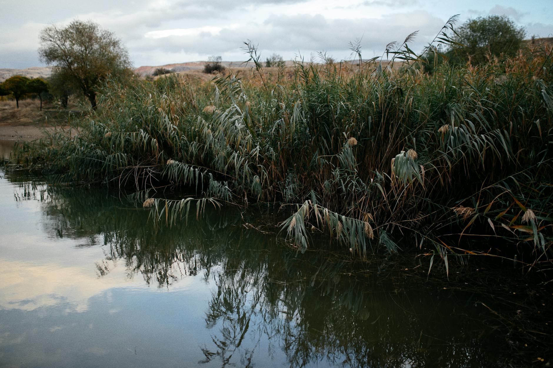 Illustration zu Griechische Reeder Klimapläne