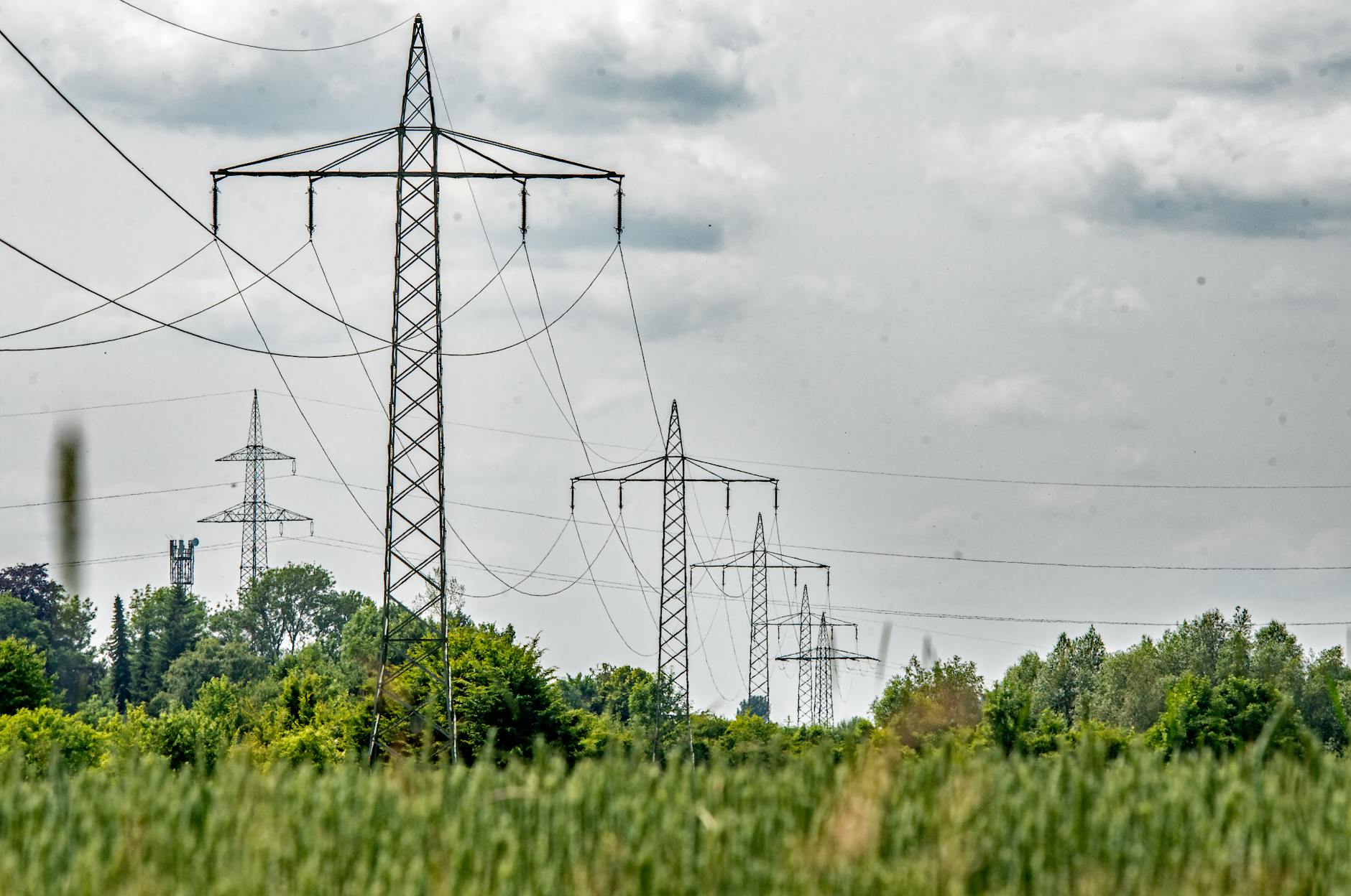 Grüne Kritik Zulagen Detailansicht: Grüne Kritik Zulagen