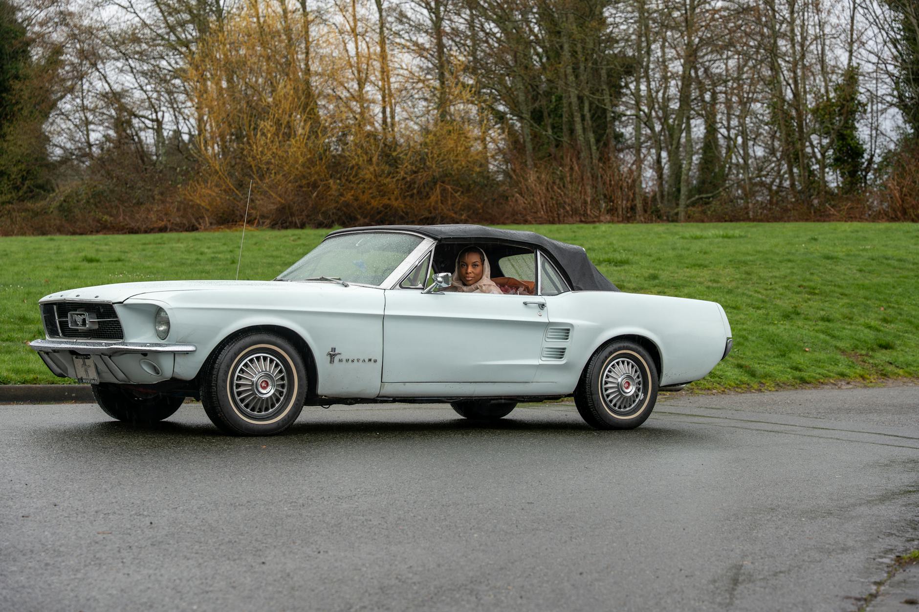 Illustration zu Harrison Ford