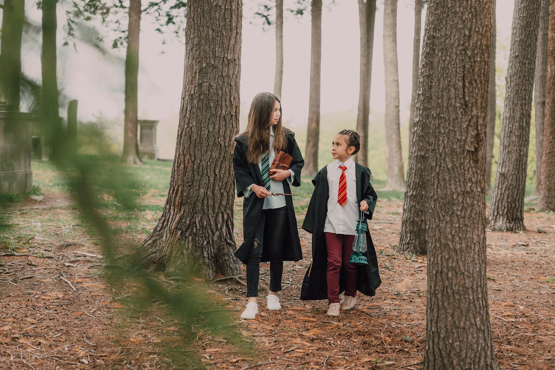 Detailansicht: Harry Potter