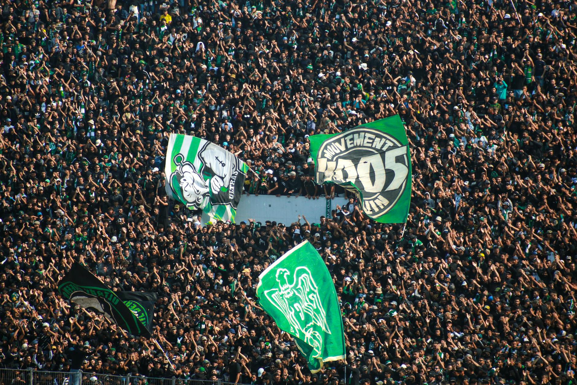 Illustration zu Hartberg – Rapid Wien