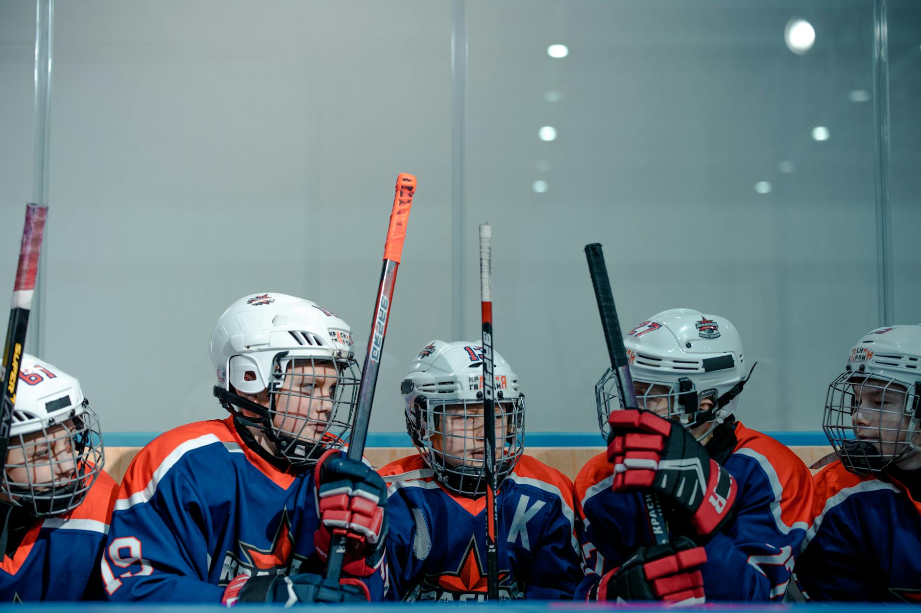 Illustration zu Hockey Club Fribourg-gotteron