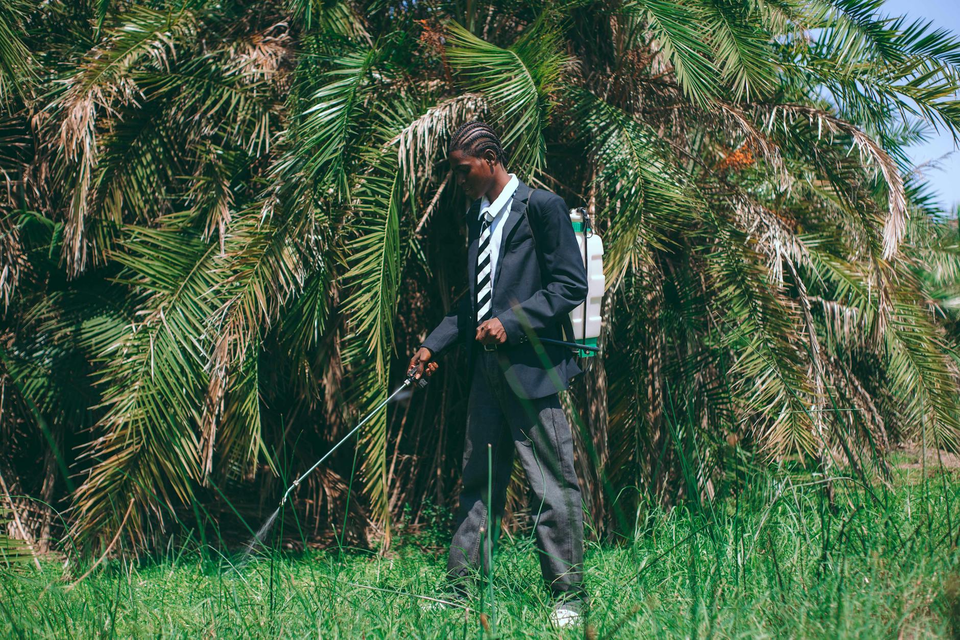 Detailansicht: Joachim Löw Ghana