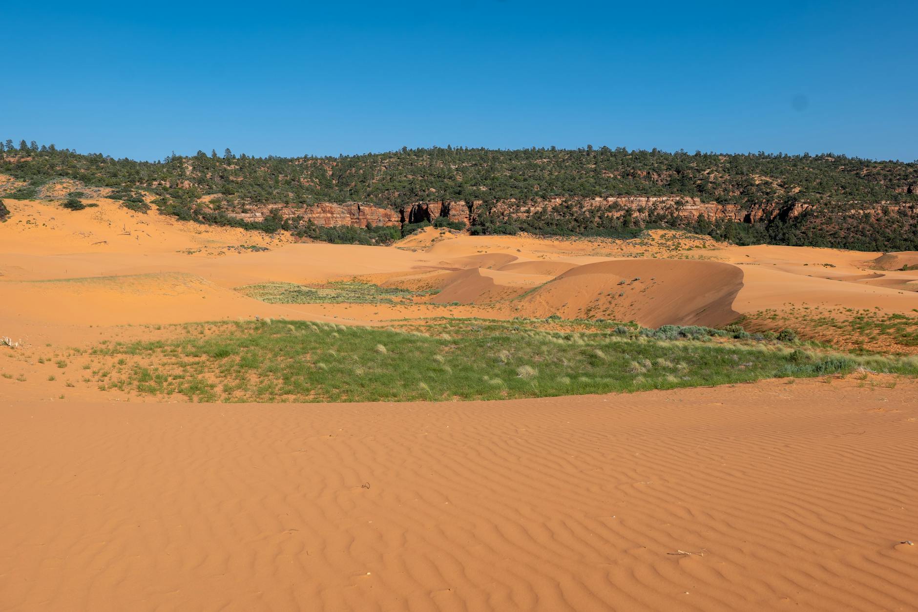 Detailansicht: Kane Verletzt
