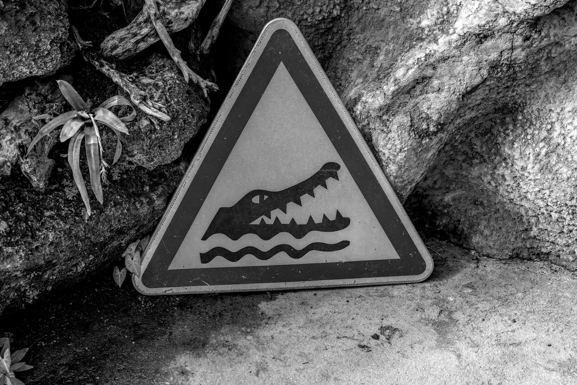 Krokodil Mario Adorf Illustration zu Krokodil Mario Adorf