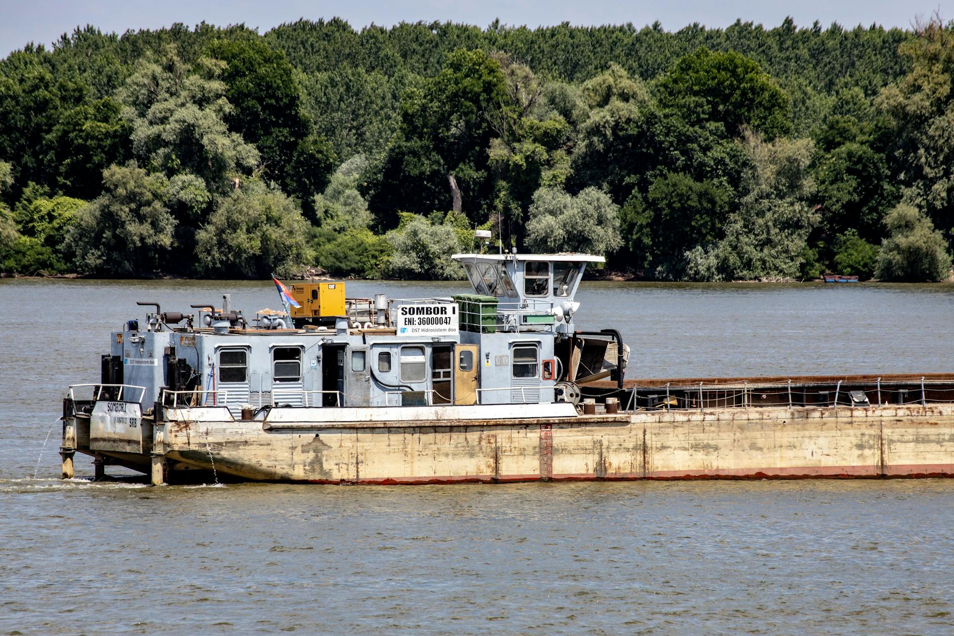 Krokodil Mario Adorf Detailansicht: Krokodil Mario Adorf