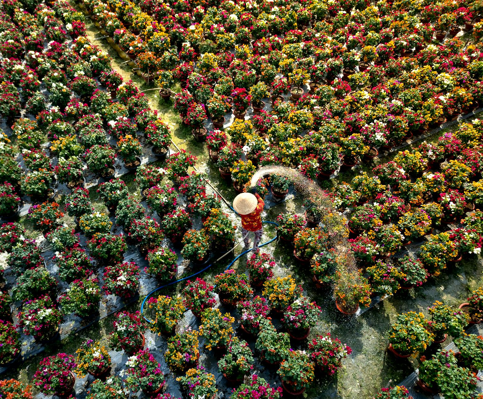 Illustration zu Landwirtschaft Pflanzenschutz