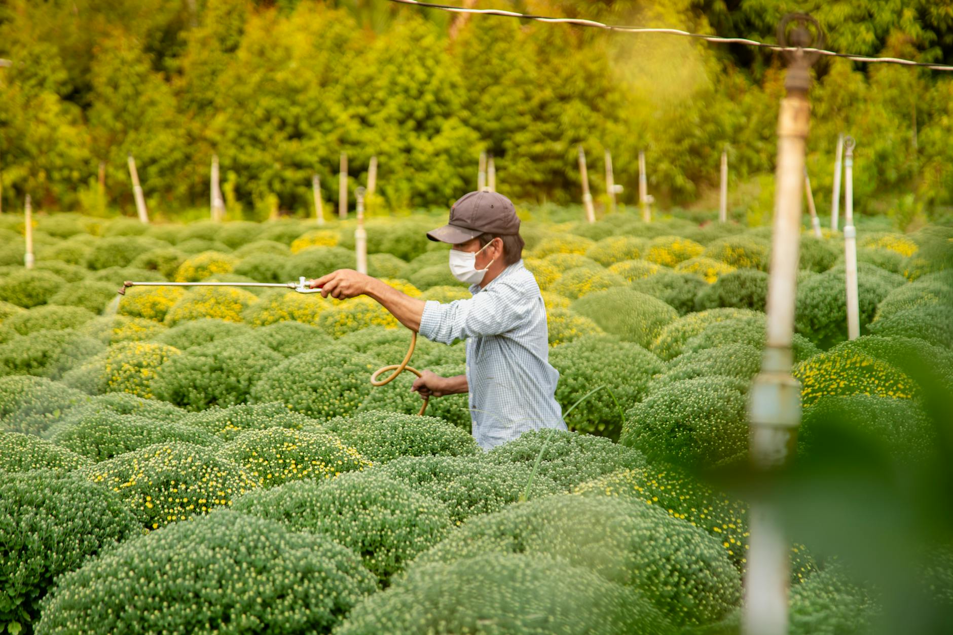 Symbolbild zum Thema Landwirtschaft Pflanzenschutz