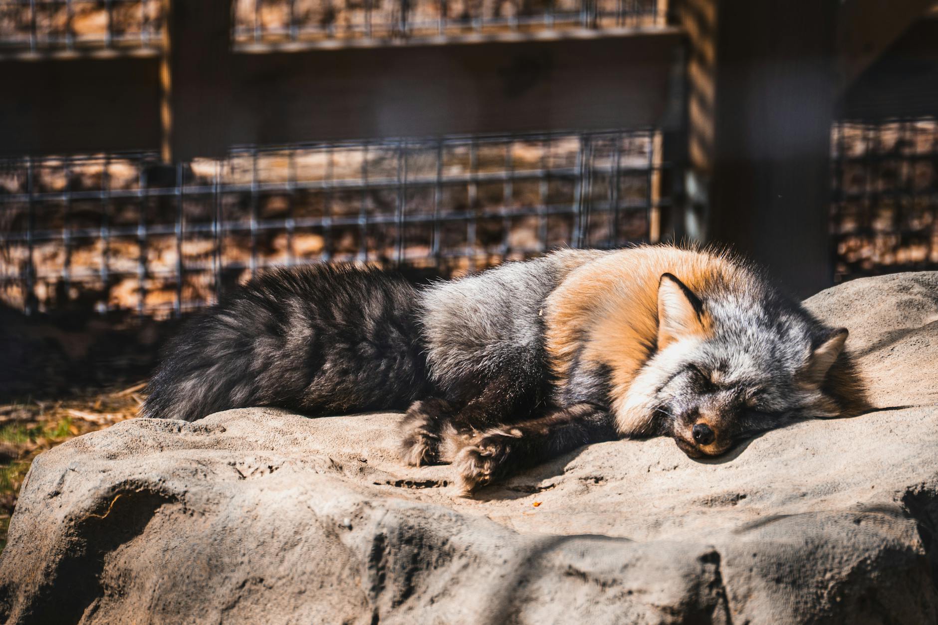 Illustration zu Michael J Fox Tot