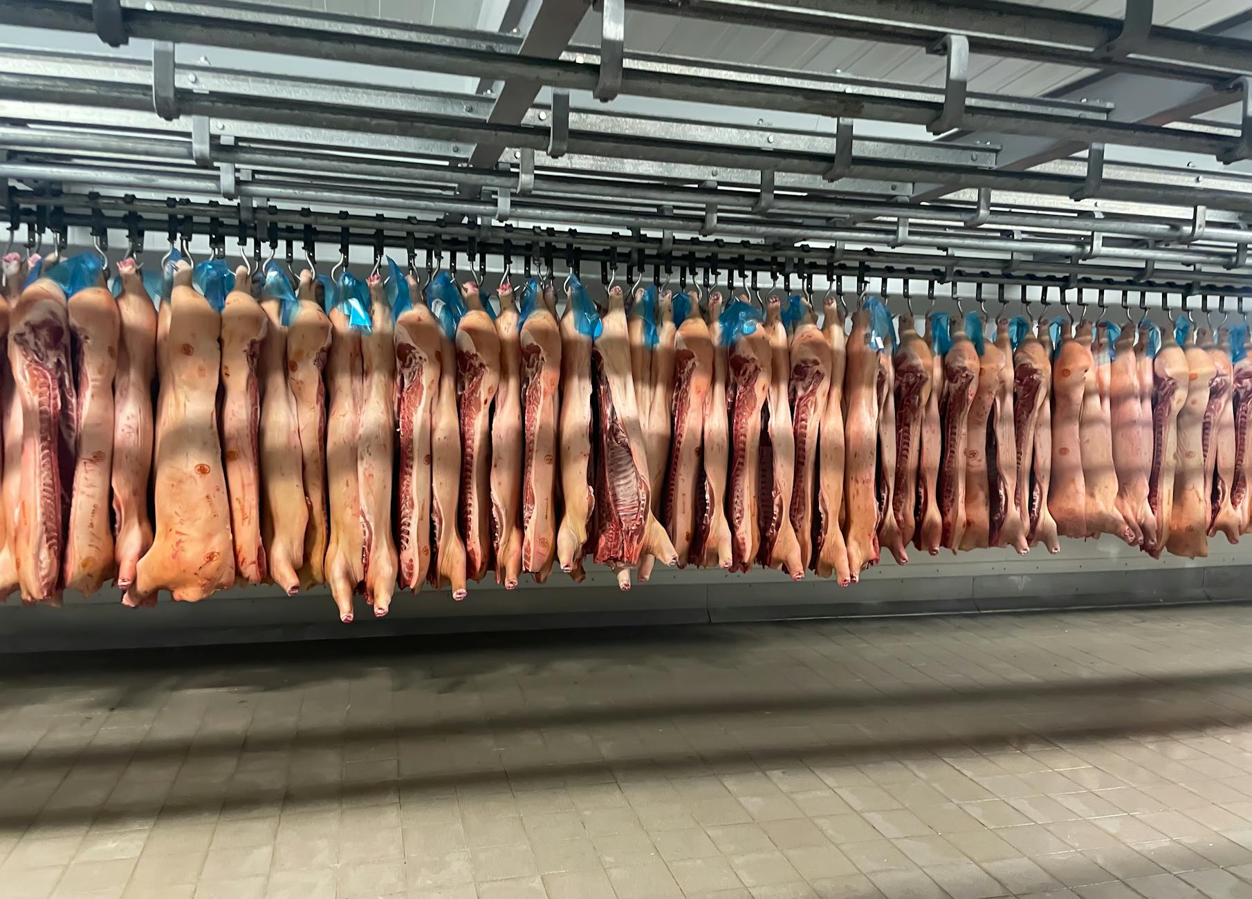 Detailansicht: Migros Fleisch