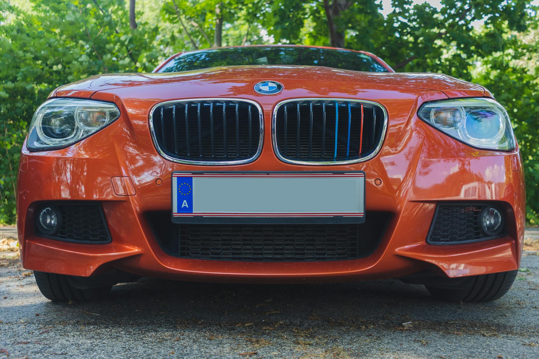 Detailansicht: Nummernschild Wofür