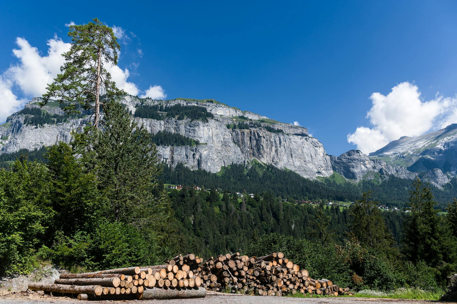Detailansicht: Saharastaub Schweiz