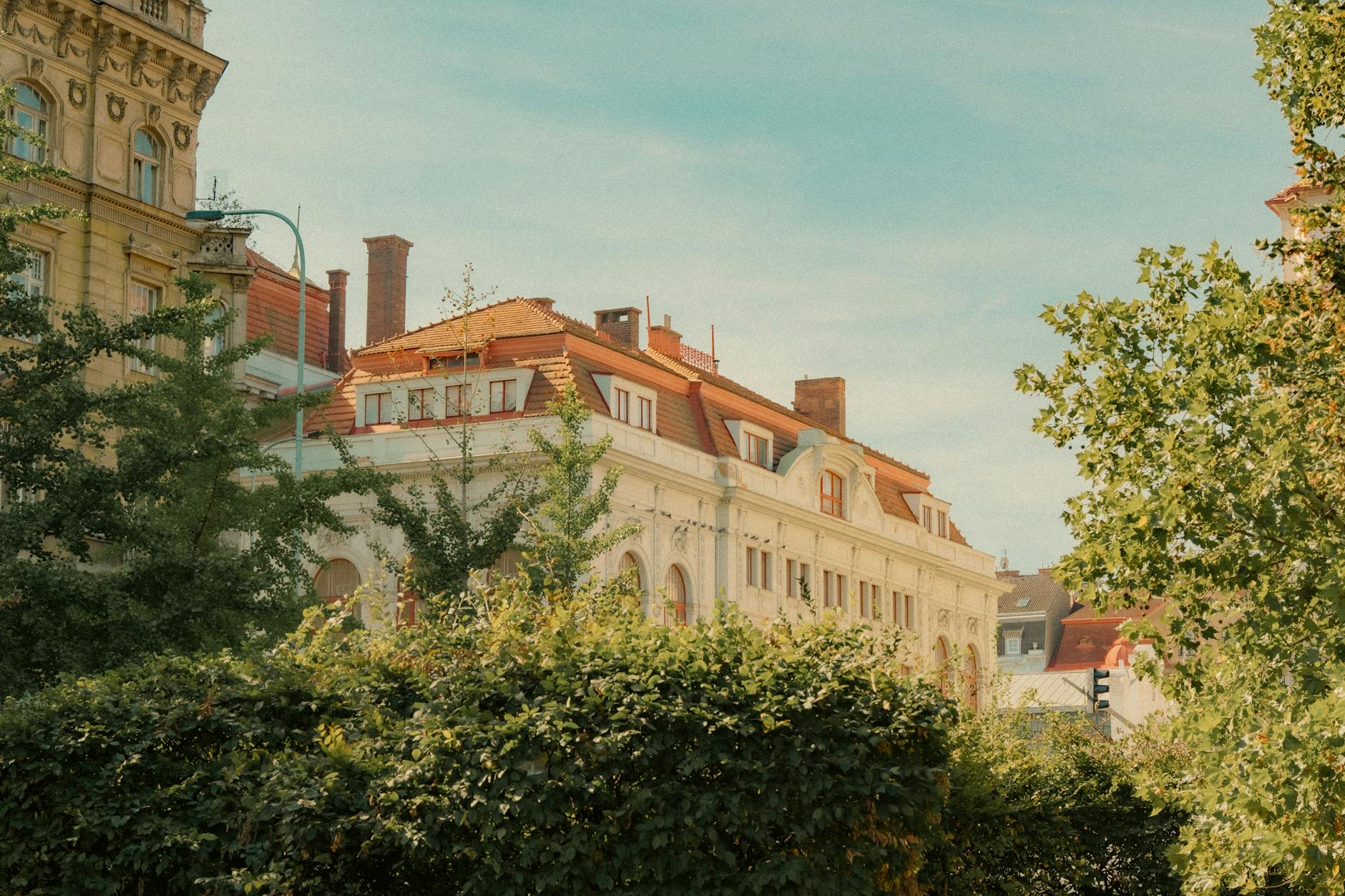 Illustration zu Sommerschule Wien