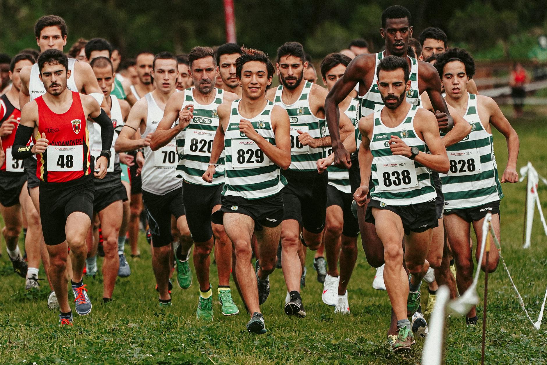 Detailansicht: Sporting - Santa Clara