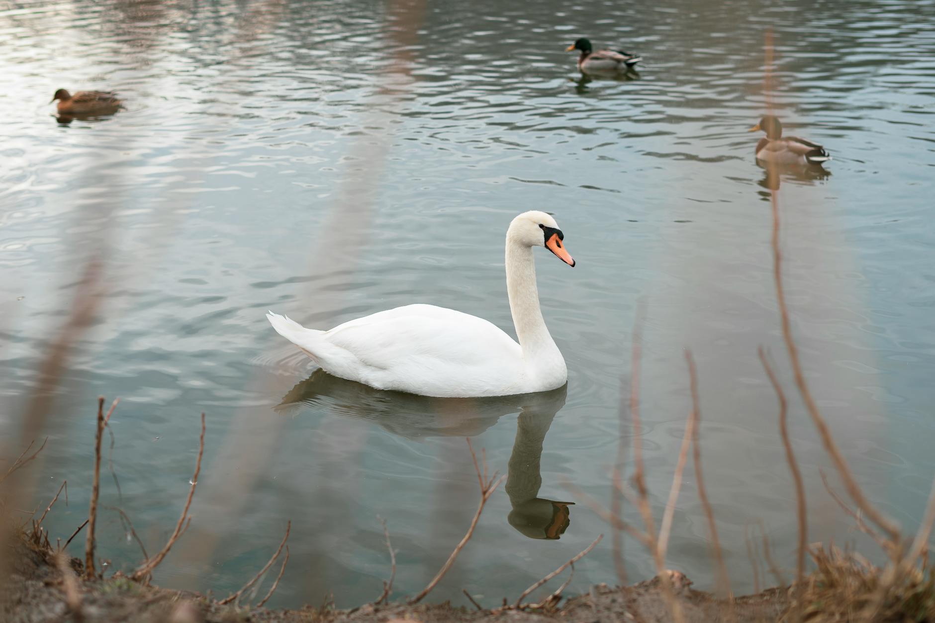 Detailansicht: Steiermark