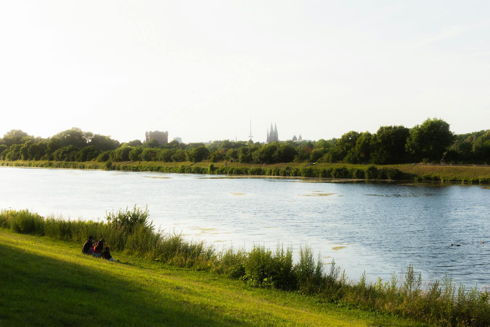 SV Werder Bremen Illustration zu SV Werder Bremen