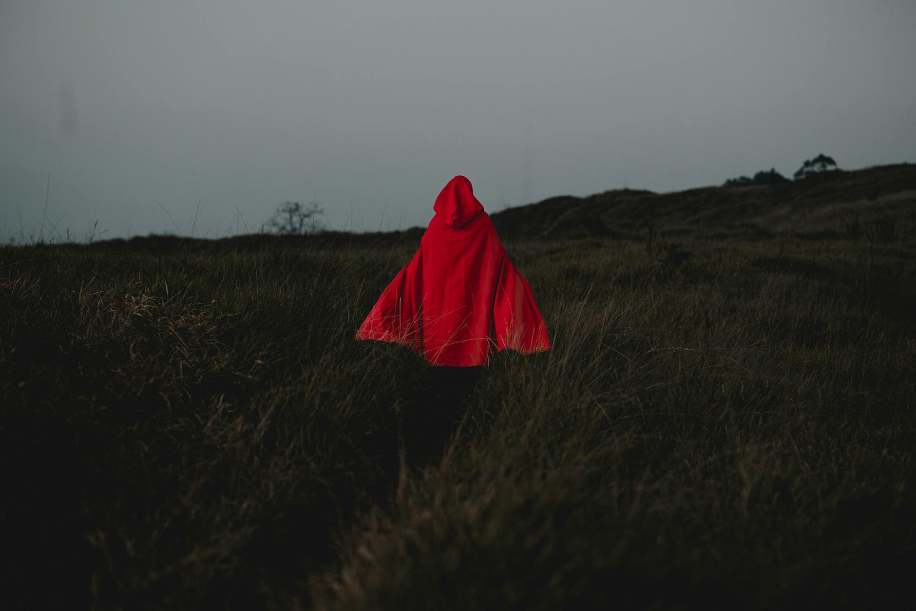 The Handmaids Tale Staffel 6 Detailansicht: The Handmaids Tale Staffel 6