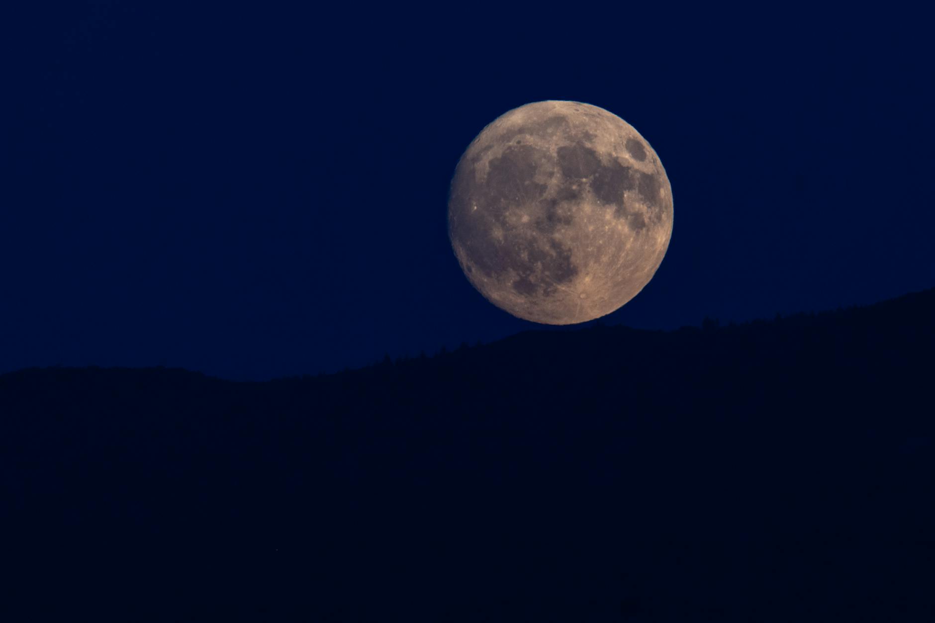 Illustration zu Vollmond April 2026 Pink Moon