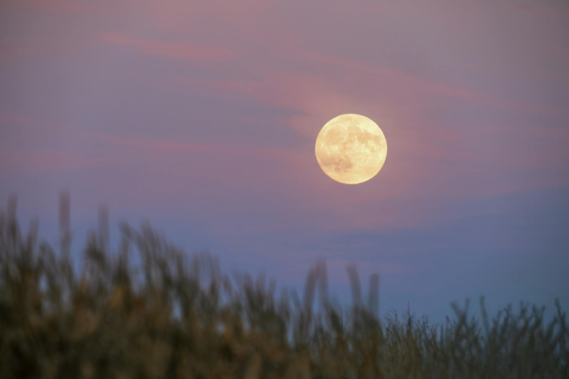 Detailansicht: Vollmond April 2026 Sternzeichen