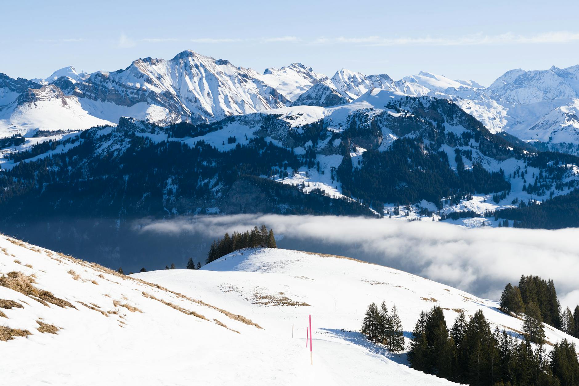 Symbolbild zum Thema Webcam Faulhorn