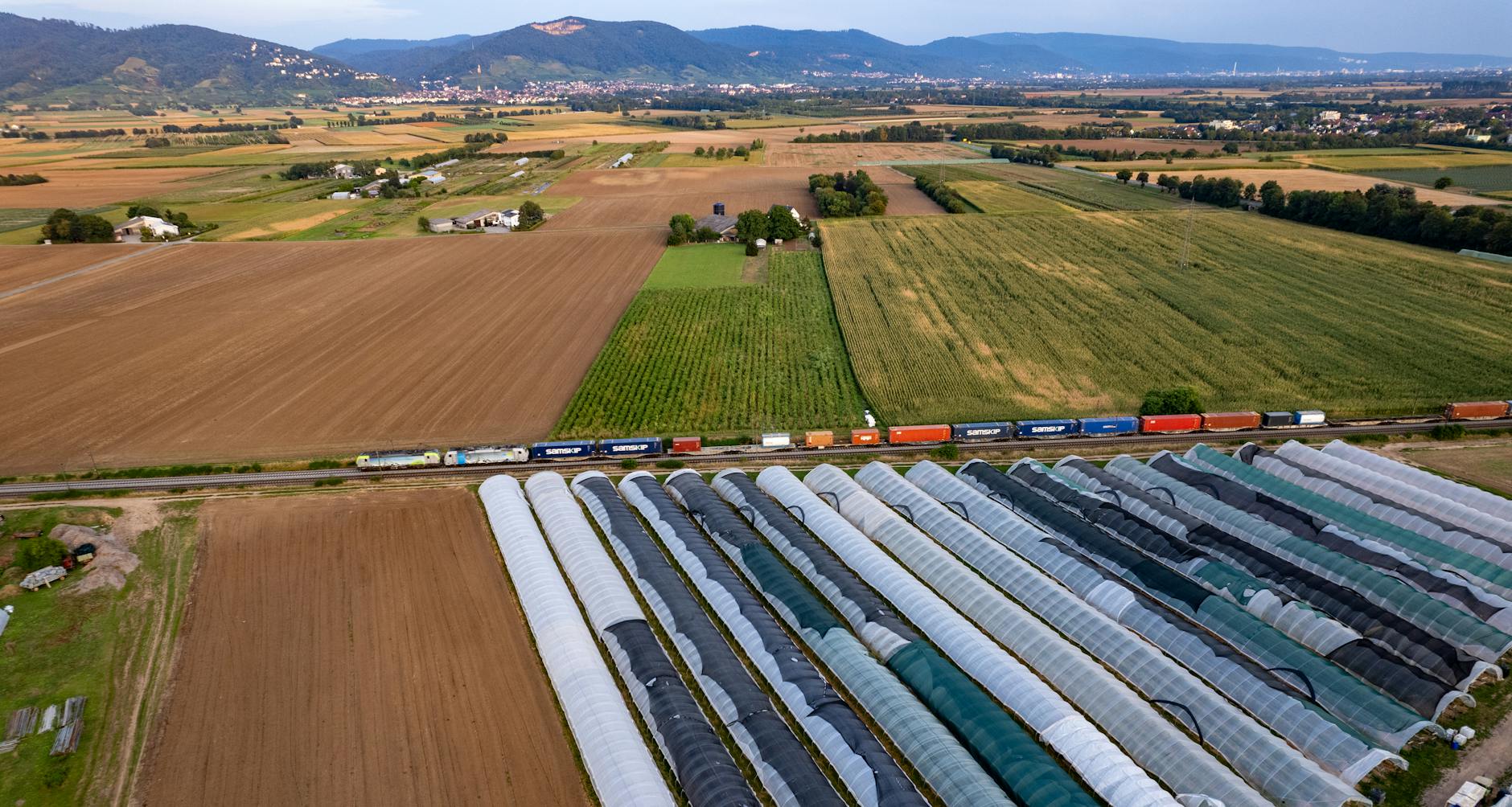 Detailansicht: Wels – Austria Klagenfurt