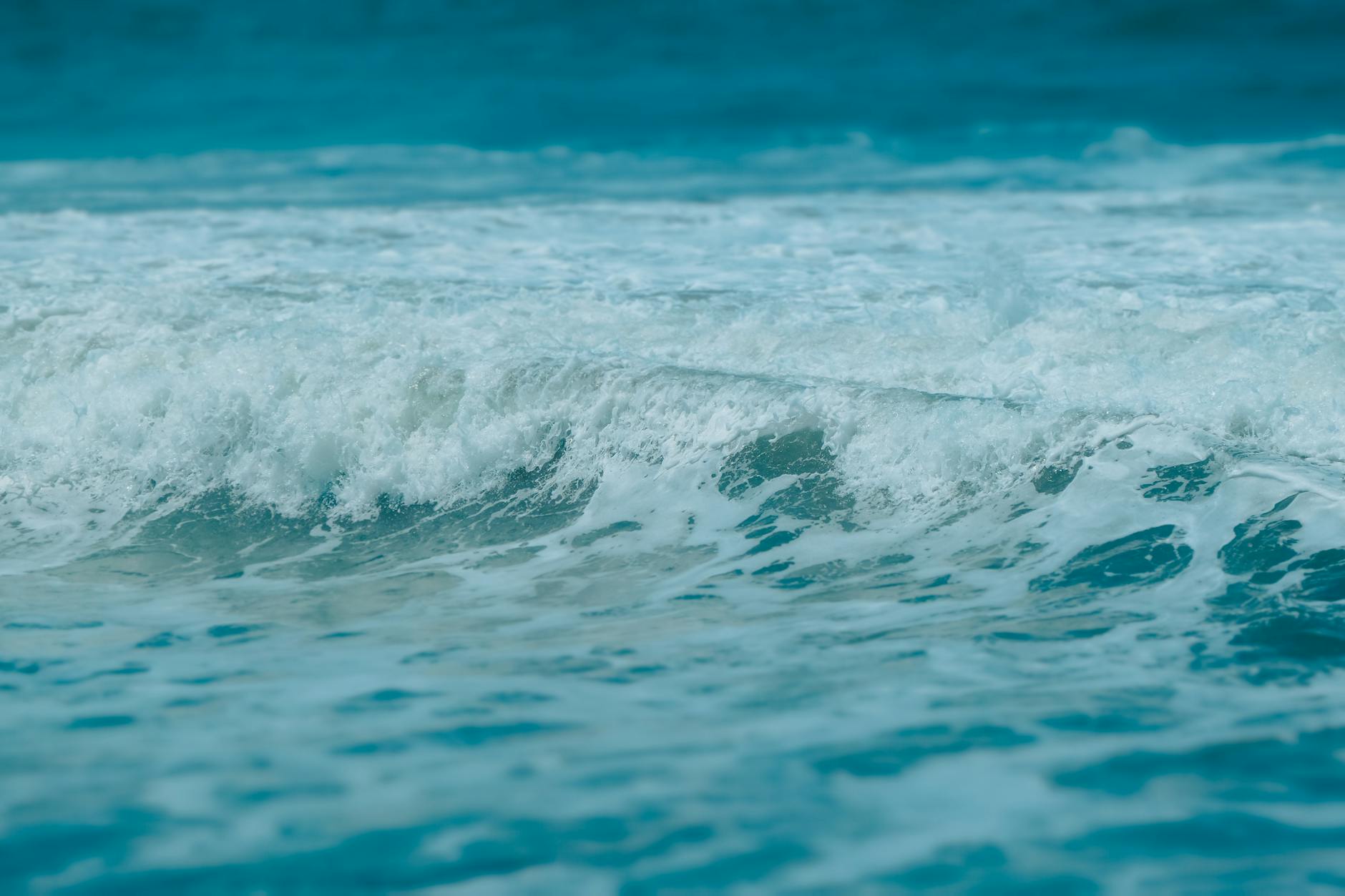 Illustration zu Whitecaps-portland-timbers