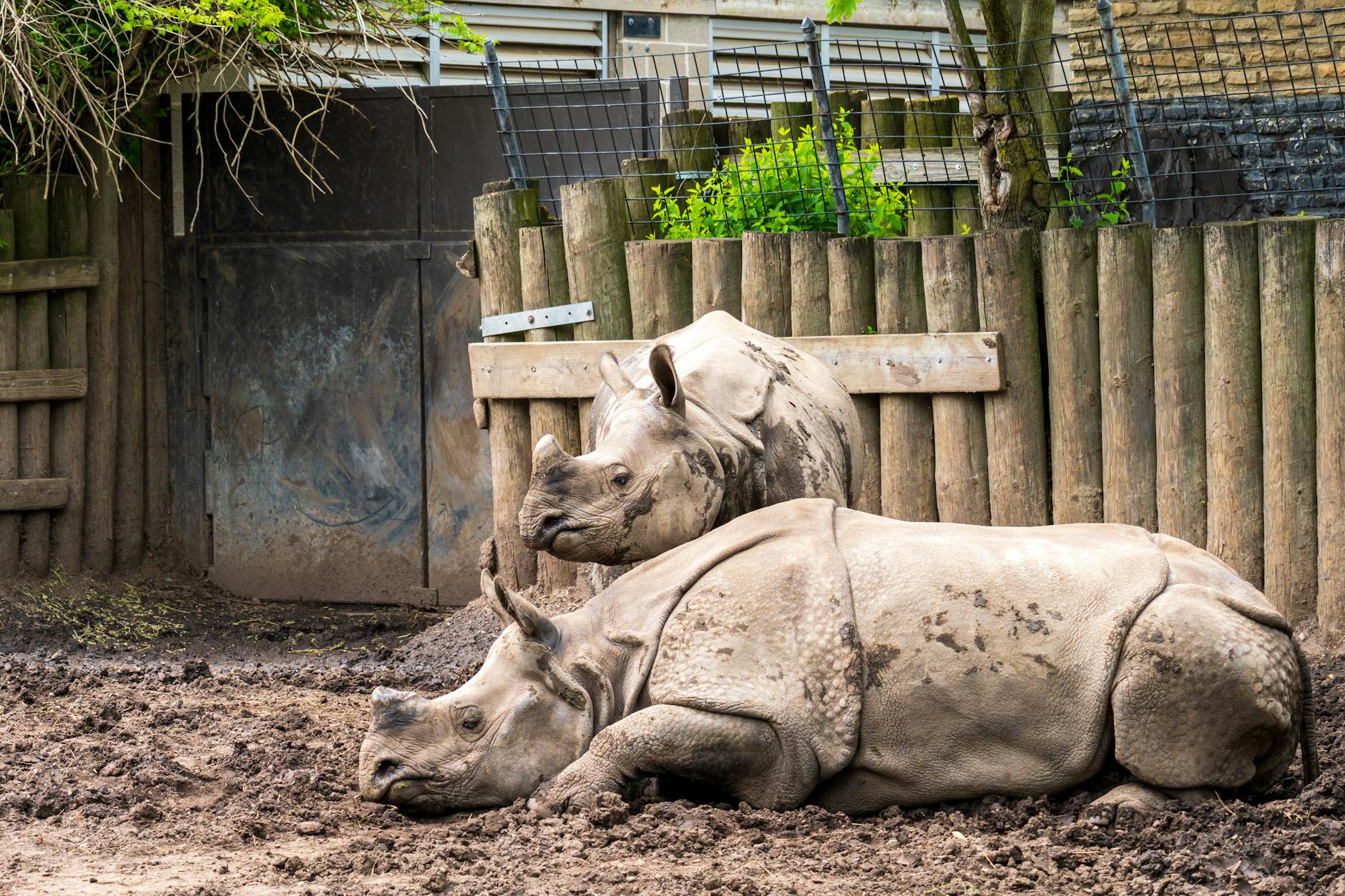 Symbolbild zum Thema Zoo