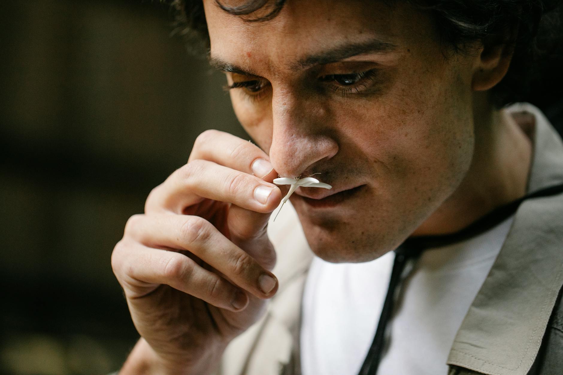Illustration zu Alessandro Zanardi