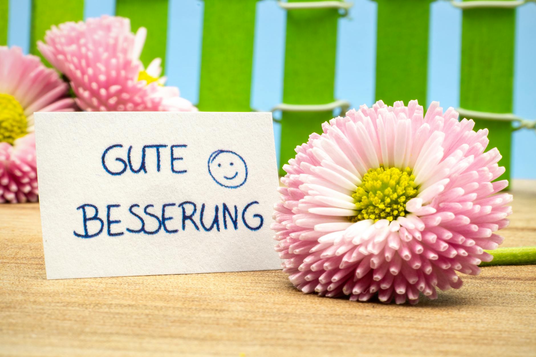 Detailansicht: Alltag überfordert Tipps