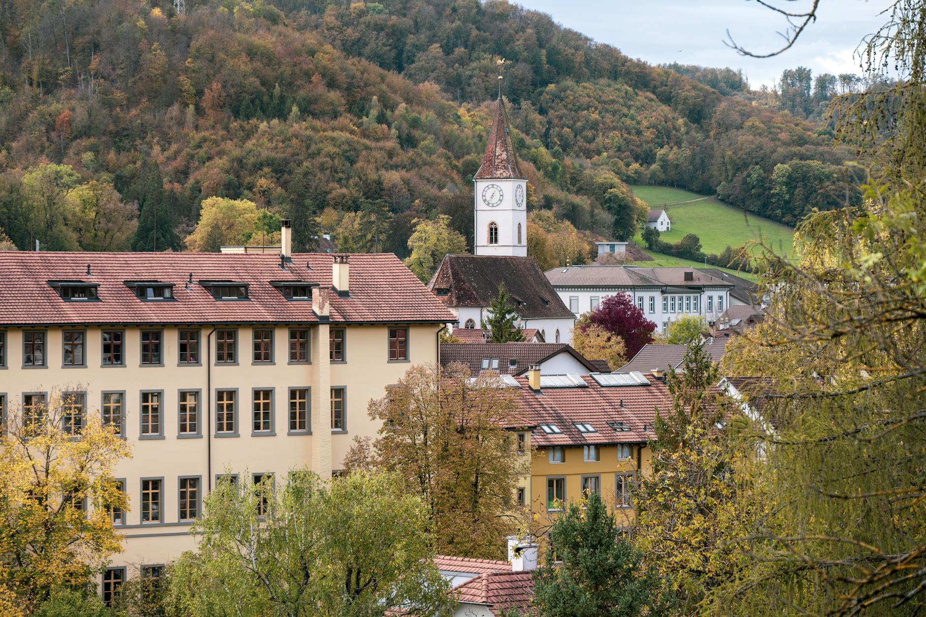 Detailansicht: Basel-landschaft