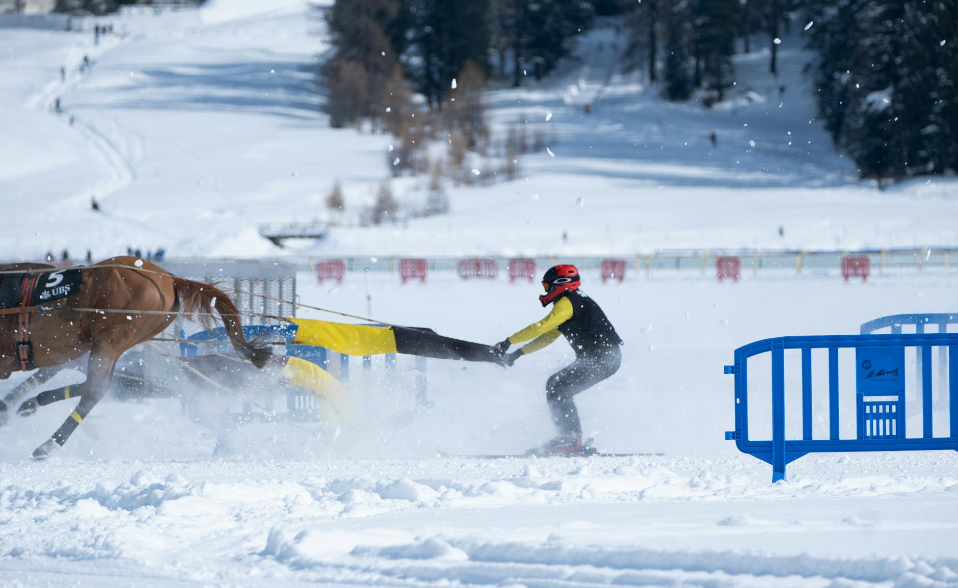Illustration zu Biathlon
