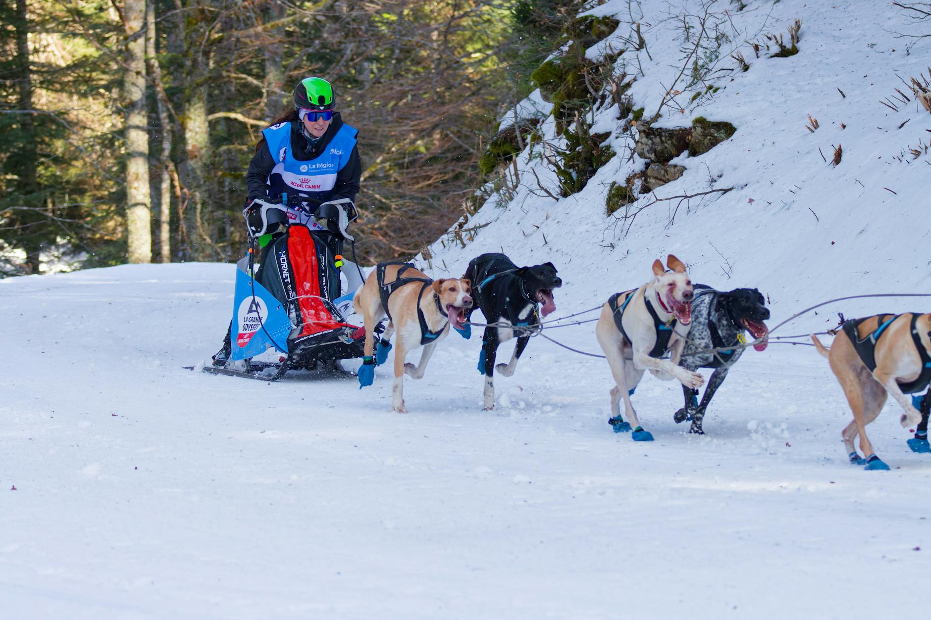 Symbolbild zum Thema Biathlon