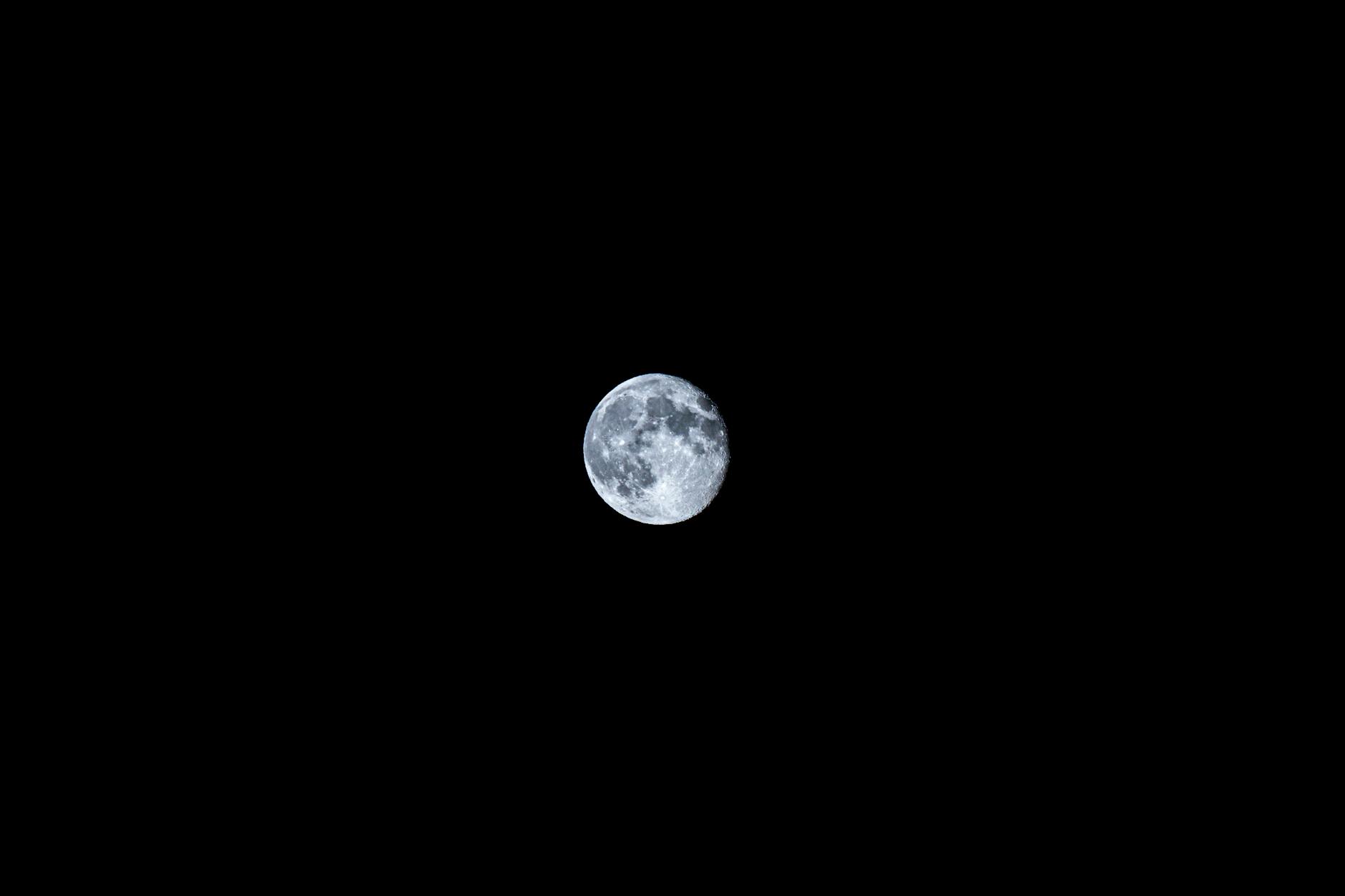 Blue Moon Detailansicht: Blue Moon