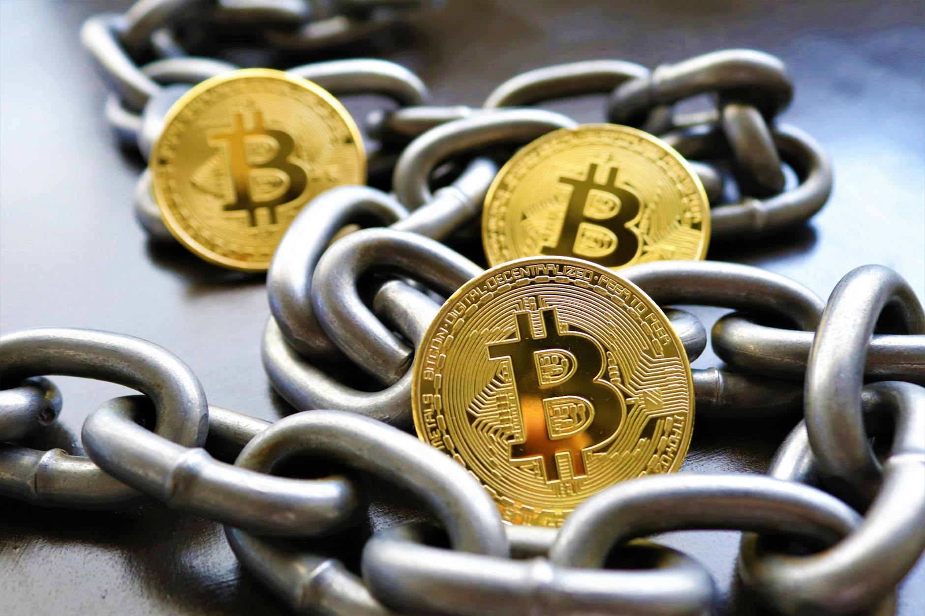 Btc-echo Illustration zu Btc-echo