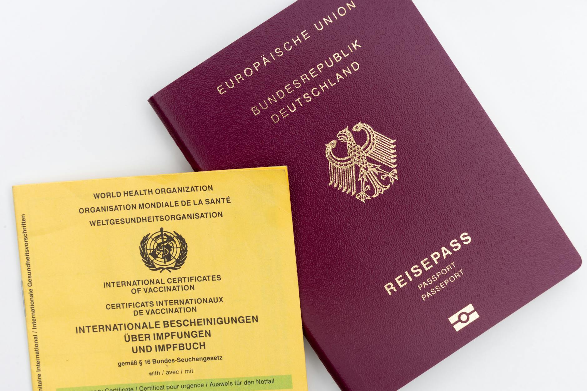Detailansicht: Einwanderung Sozialsysteme