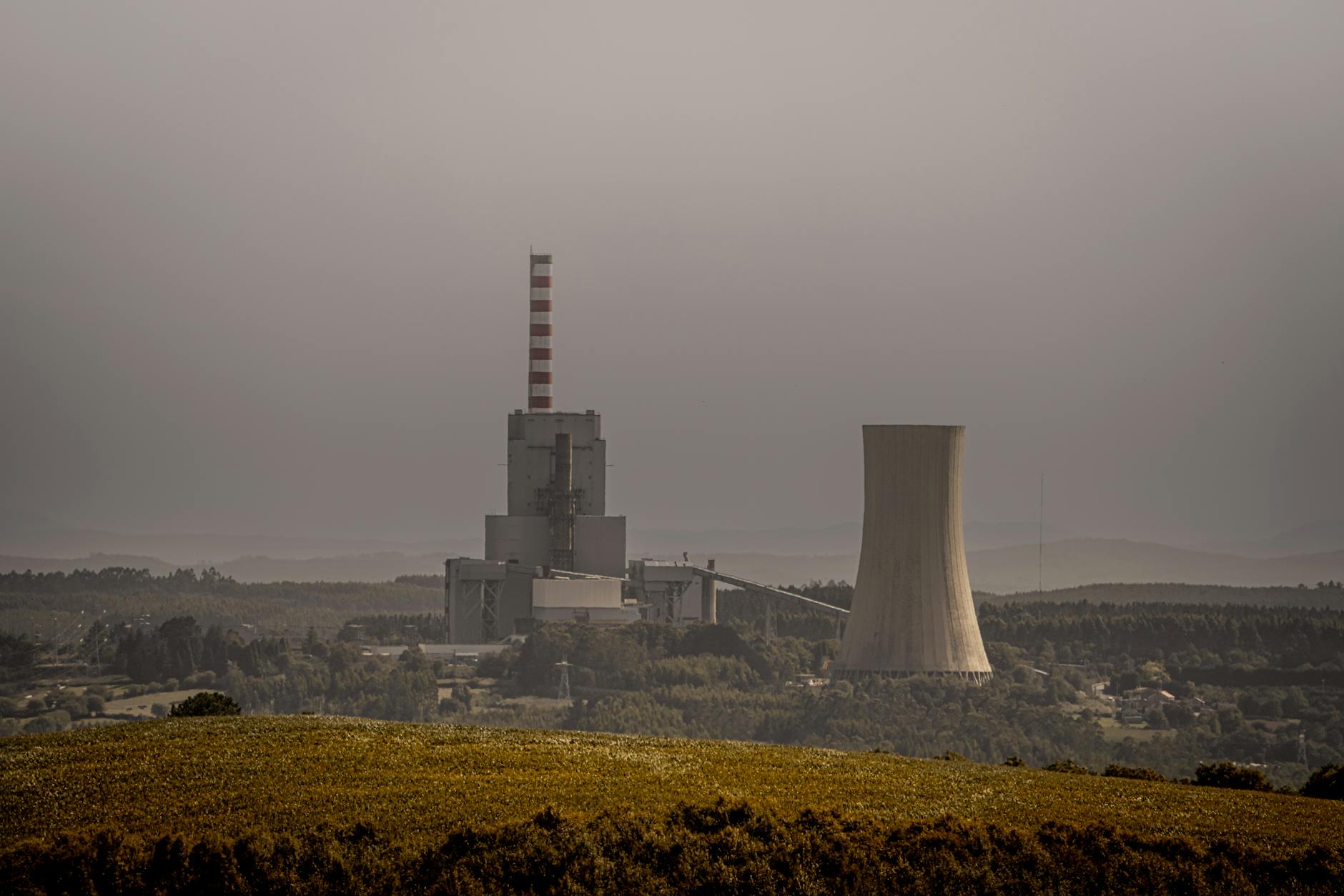 Detailansicht: Energie Cottbus