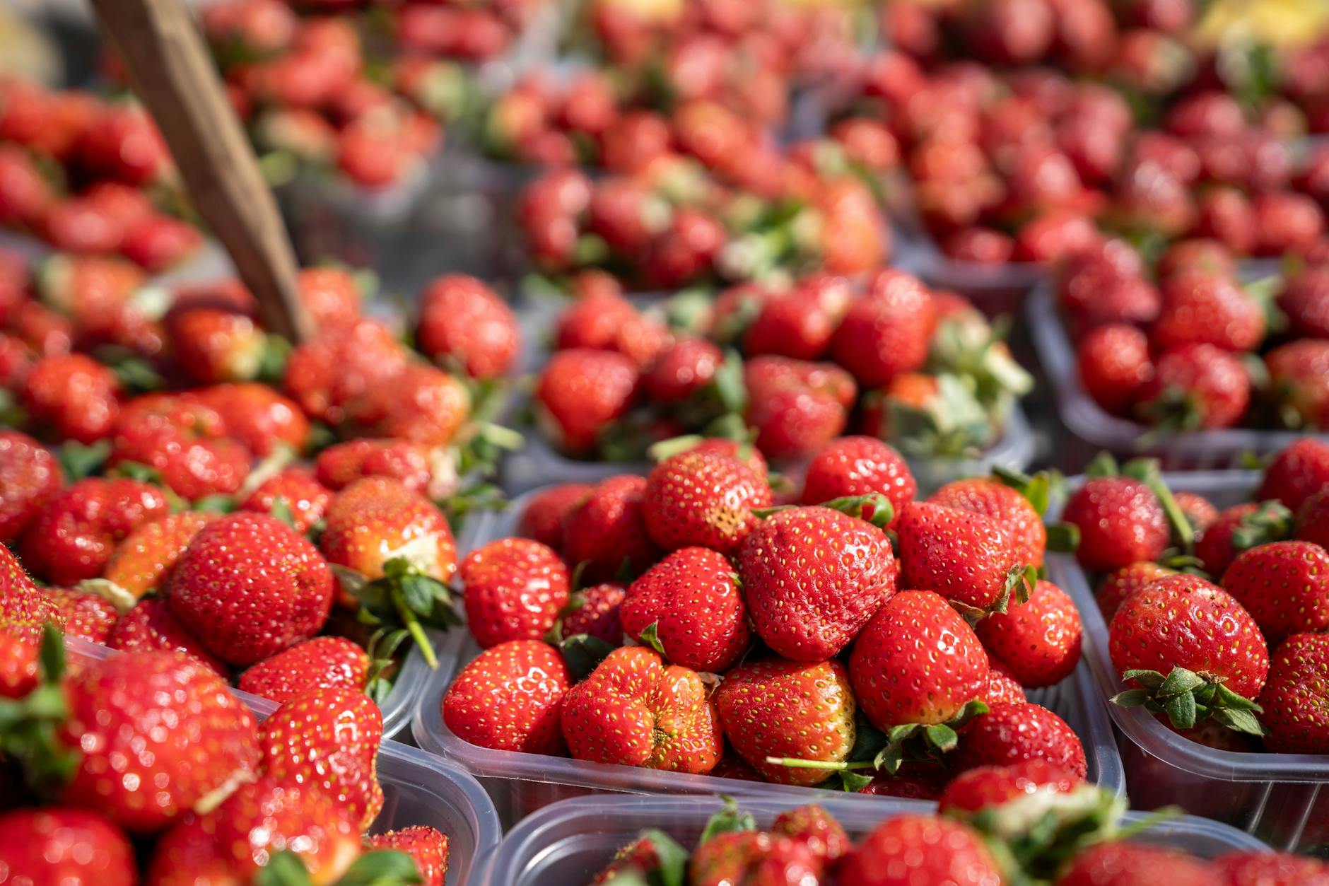 Illustration zu Erdbeeren Preise