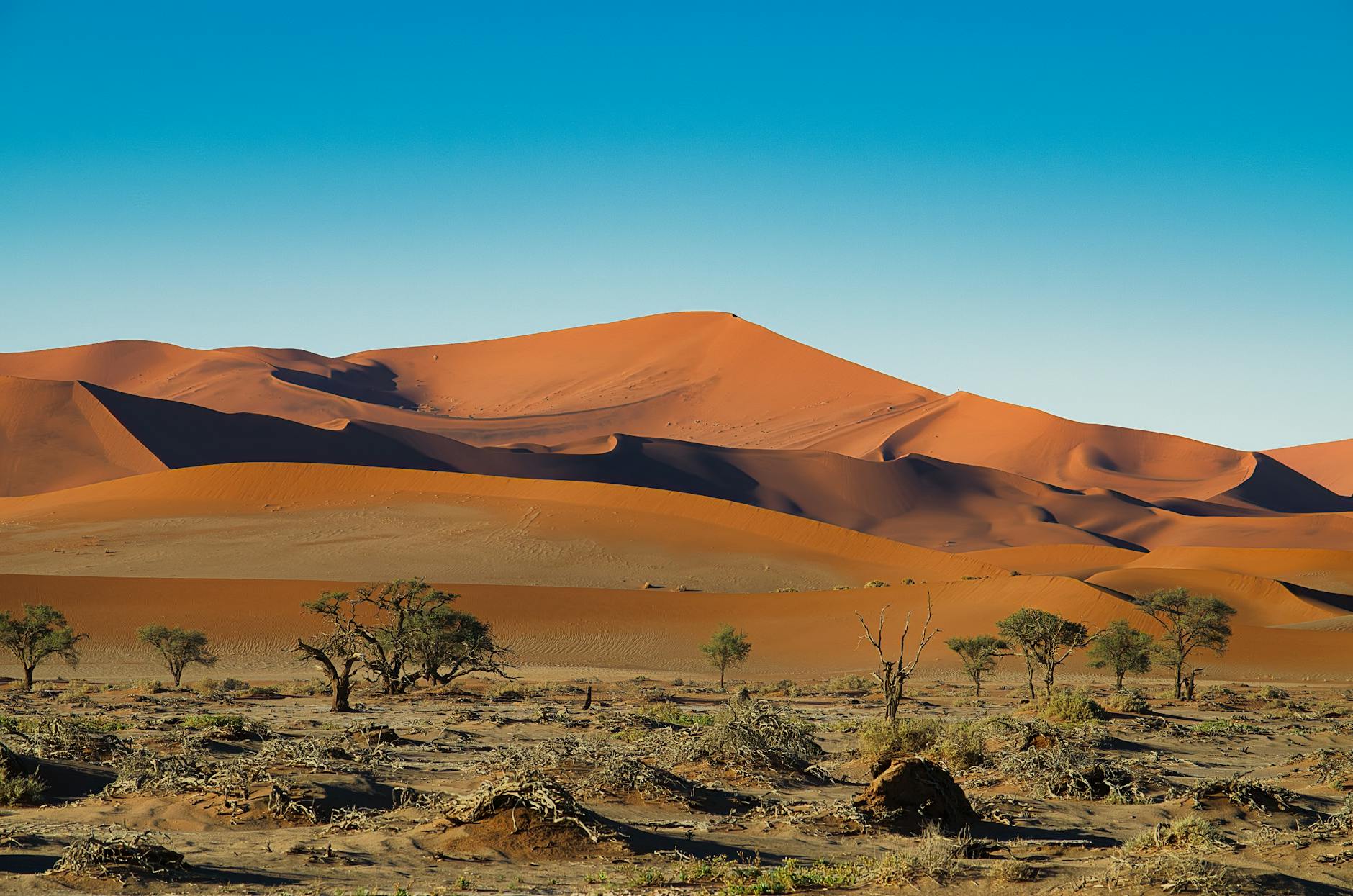 Illustration zu Flugzeugabsturz Namibia