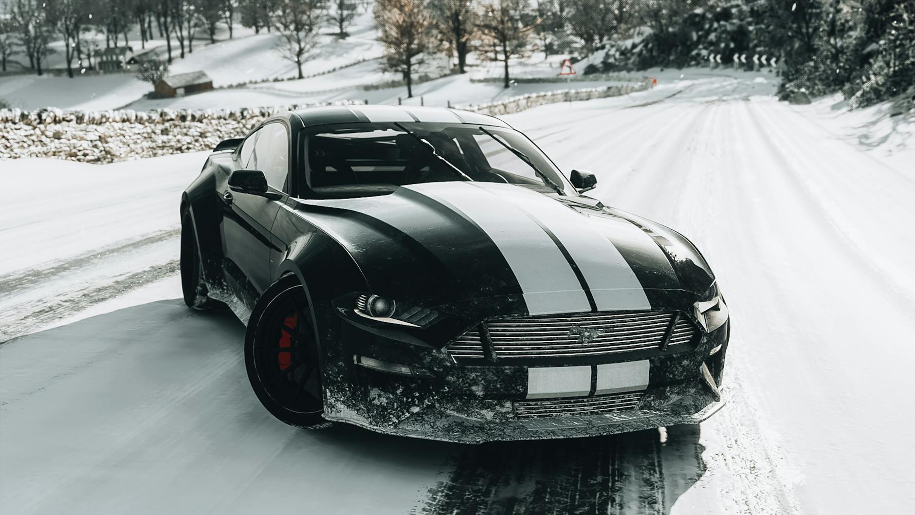 Forza Horizon 6 Illustration zu Forza Horizon 6