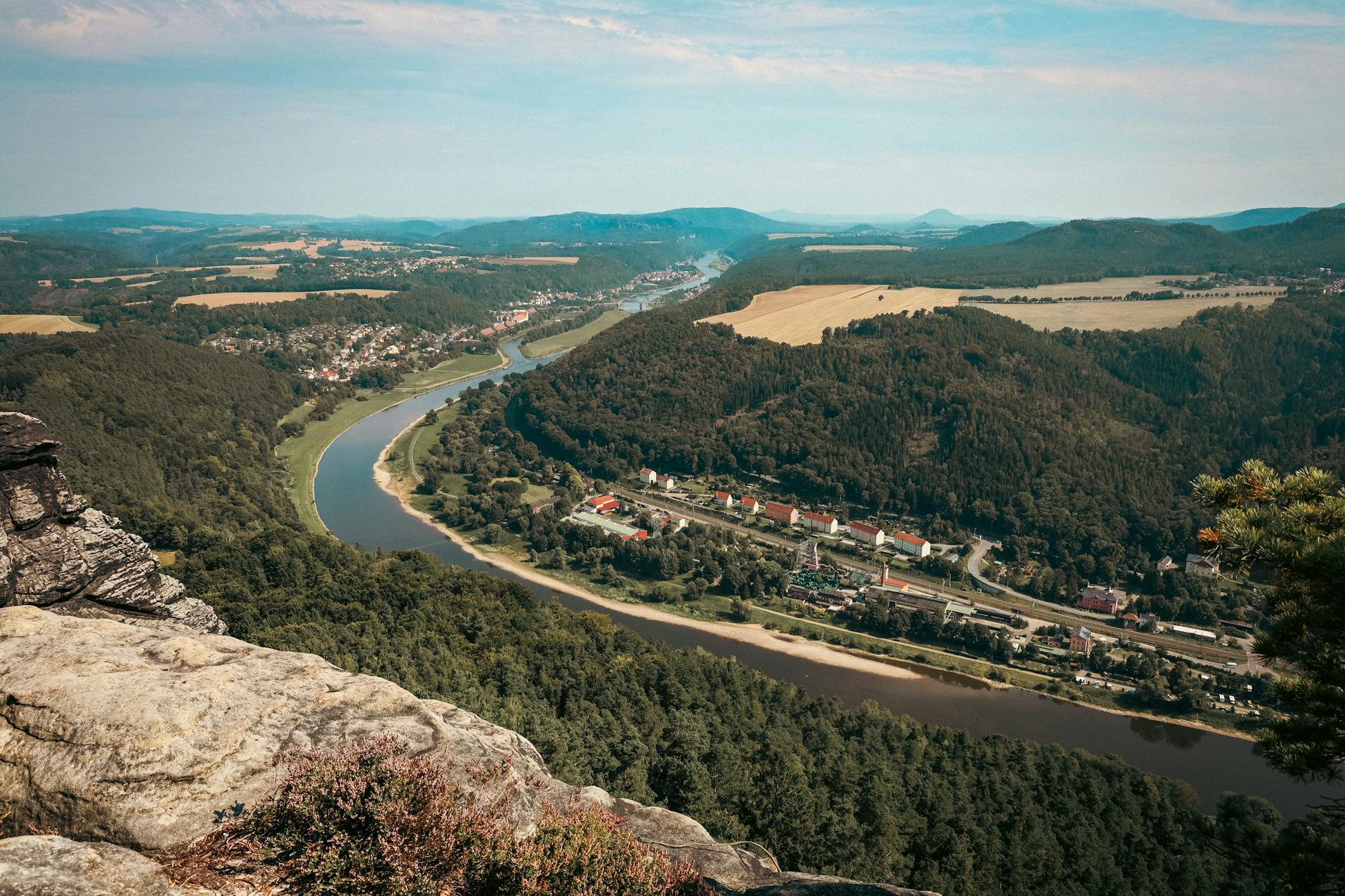 Grüne AFD Sachsen Illustration zu Grüne AFD Sachsen