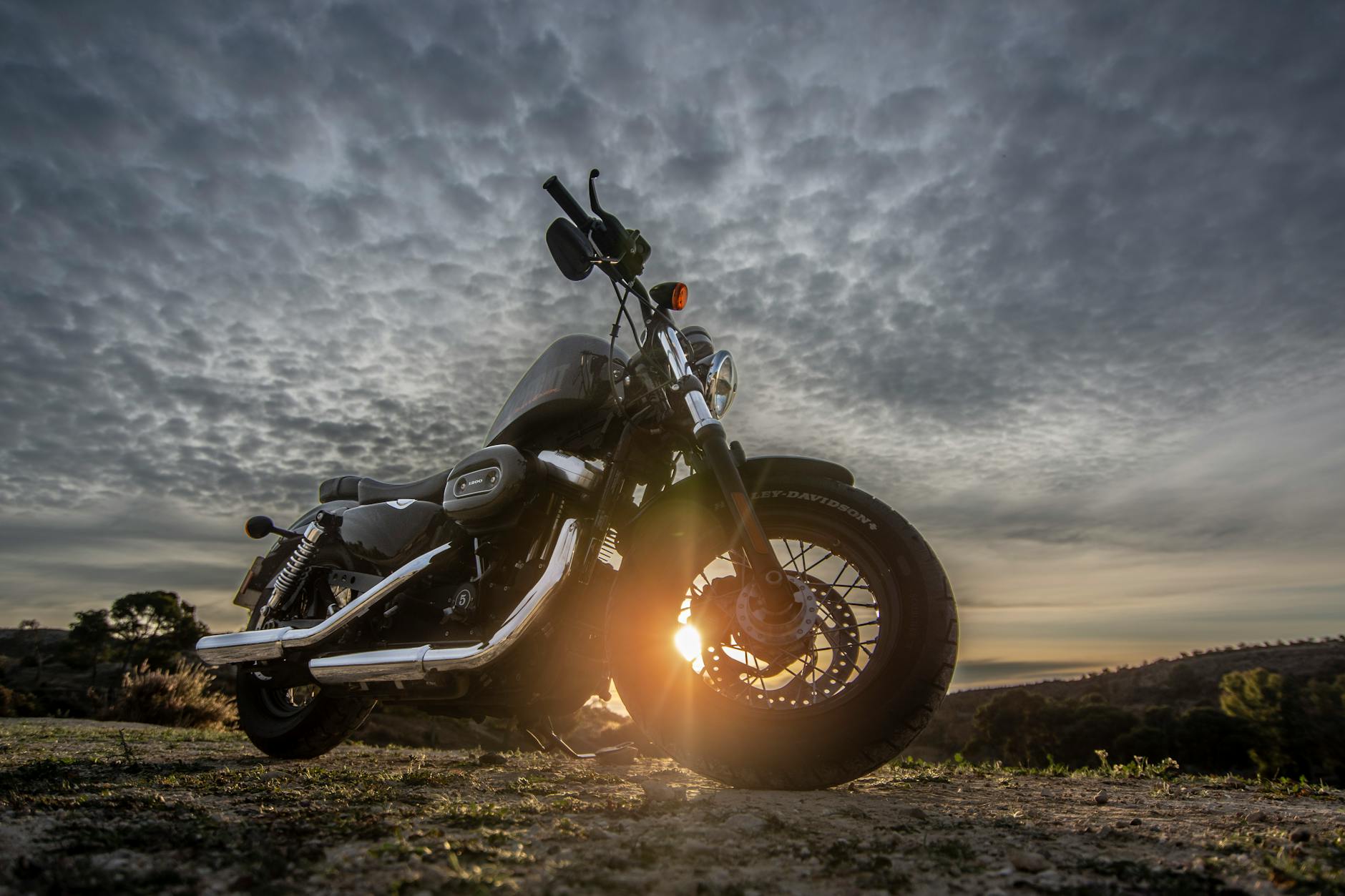 Symbolbild zum Thema Harley Davidson Sprint