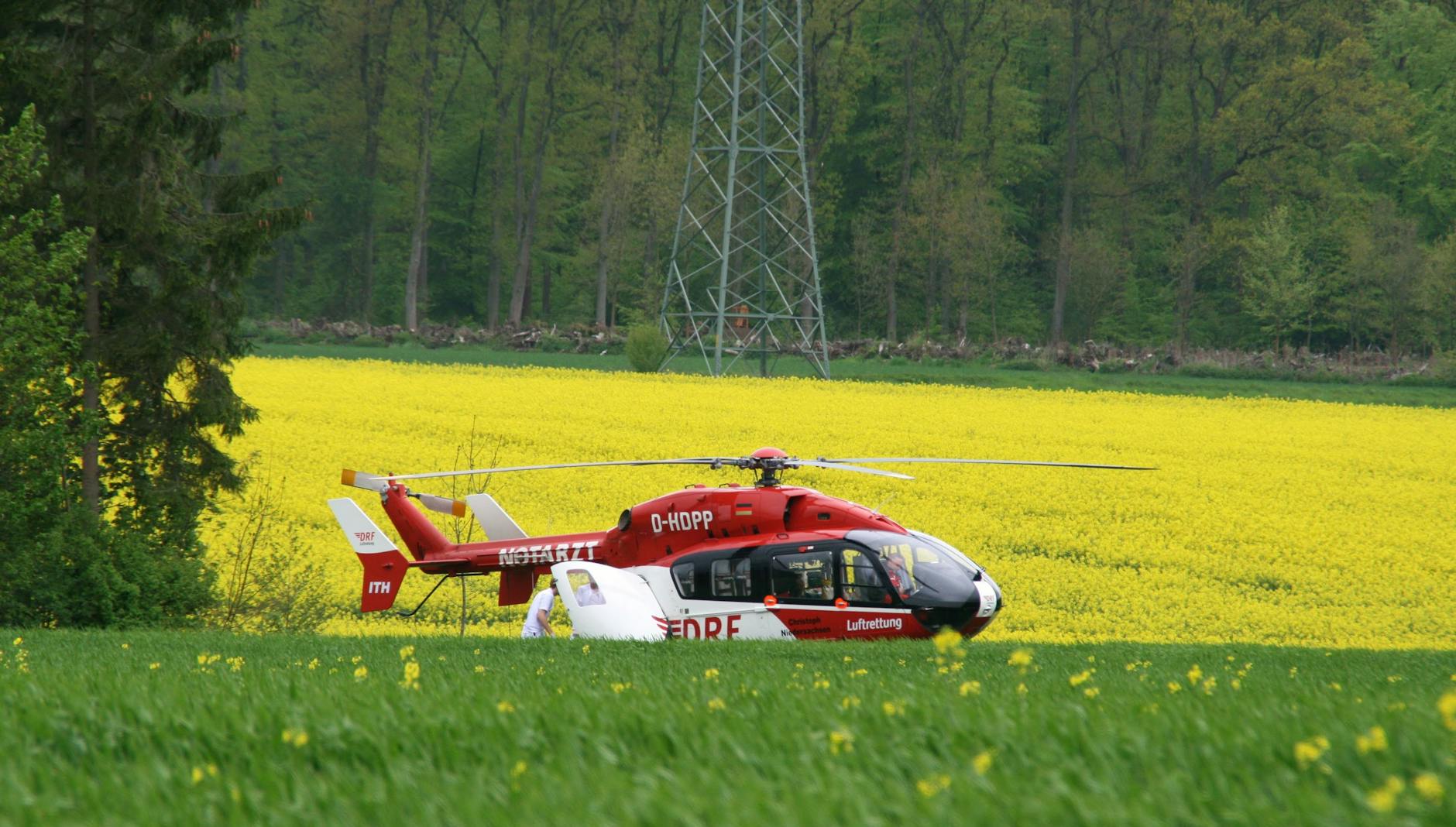 Lindenberg Mach Dein Ding Symbolbild zum Thema Lindenberg Mach Dein Ding