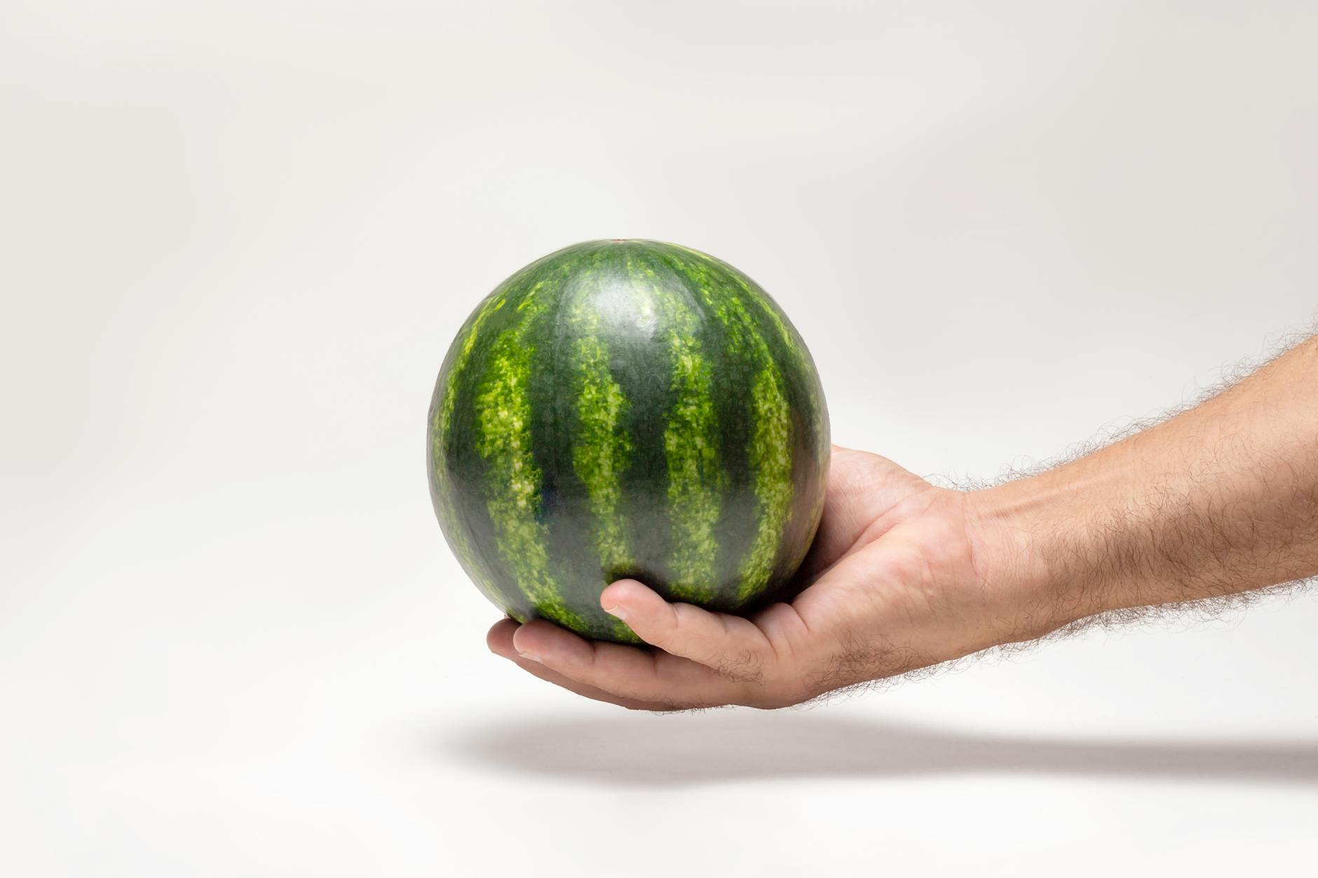 Symbolbild zum Thema Meloni KI Bild